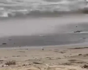 Full clip làm gì tui cũng không biết ở sầm sơn =)) hè rồi ae đi du lịch đi thôi